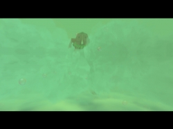 zelda_majorasmask_snap0337.jpg